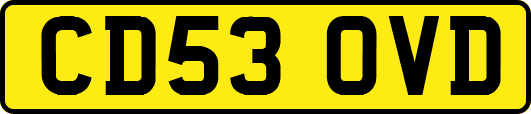 CD53OVD