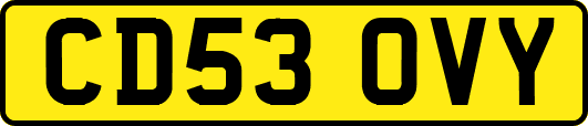 CD53OVY