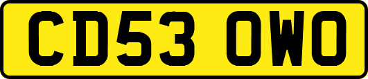 CD53OWO