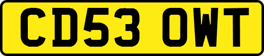 CD53OWT