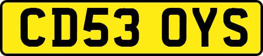 CD53OYS