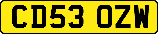 CD53OZW