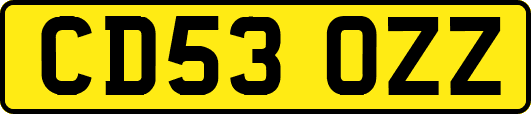CD53OZZ