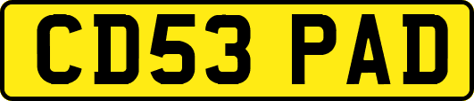 CD53PAD