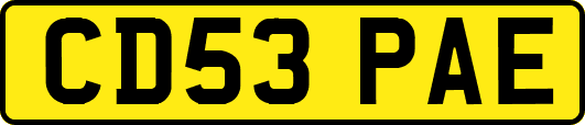 CD53PAE