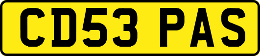 CD53PAS