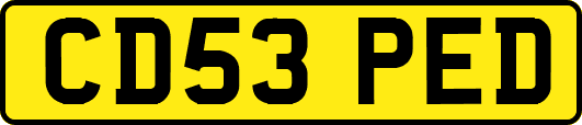 CD53PED