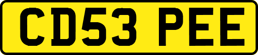 CD53PEE