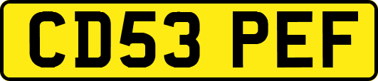 CD53PEF