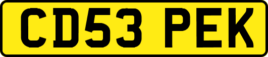 CD53PEK