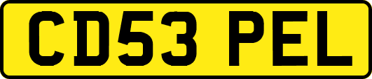 CD53PEL
