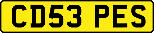 CD53PES