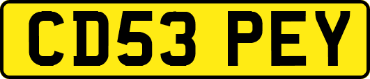 CD53PEY