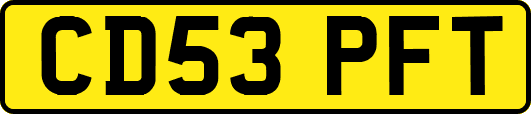 CD53PFT
