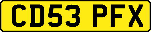 CD53PFX