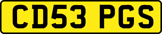CD53PGS