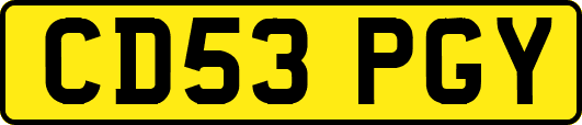CD53PGY