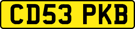 CD53PKB