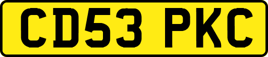 CD53PKC