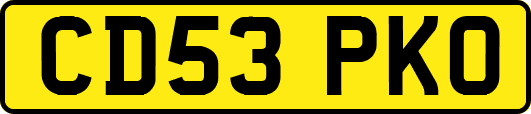 CD53PKO