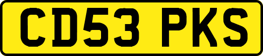 CD53PKS