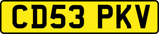 CD53PKV