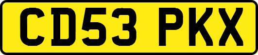 CD53PKX