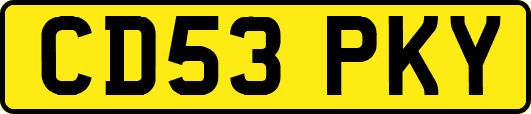 CD53PKY