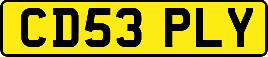 CD53PLY