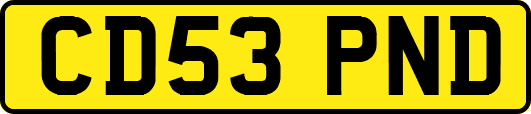 CD53PND
