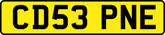 CD53PNE