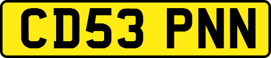 CD53PNN