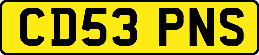 CD53PNS
