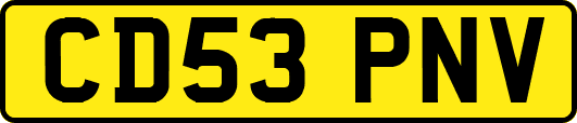 CD53PNV