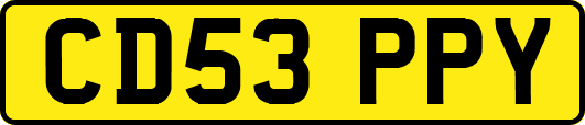 CD53PPY