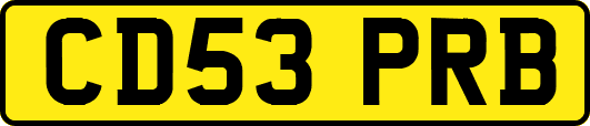 CD53PRB