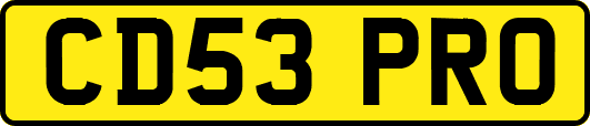 CD53PRO