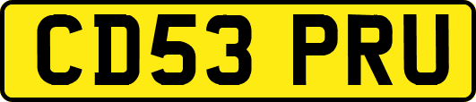 CD53PRU
