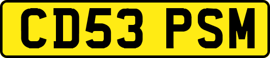 CD53PSM
