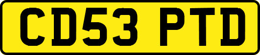 CD53PTD