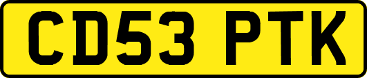 CD53PTK