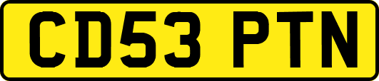 CD53PTN