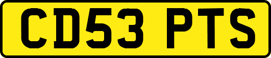CD53PTS