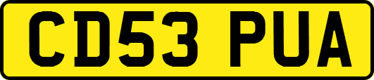 CD53PUA