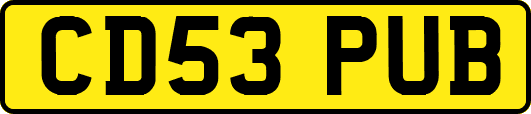 CD53PUB