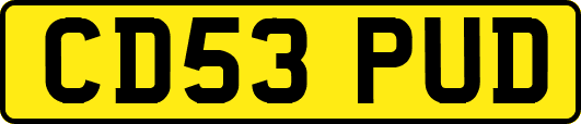 CD53PUD
