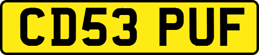 CD53PUF
