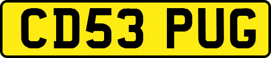 CD53PUG