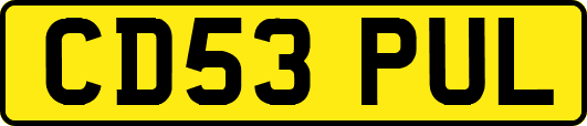 CD53PUL