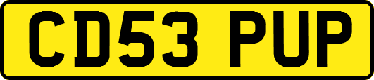 CD53PUP